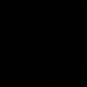 Meet your Posher, Haneen